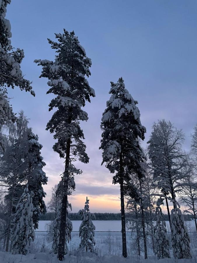 Villa Rieskapaikka Koivu Esterno foto