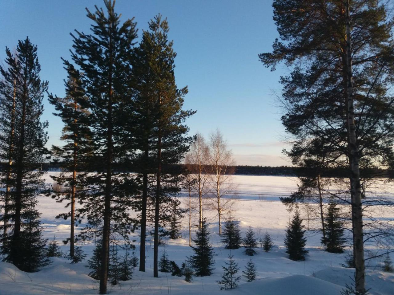 Villa Rieskapaikka Koivu Esterno foto